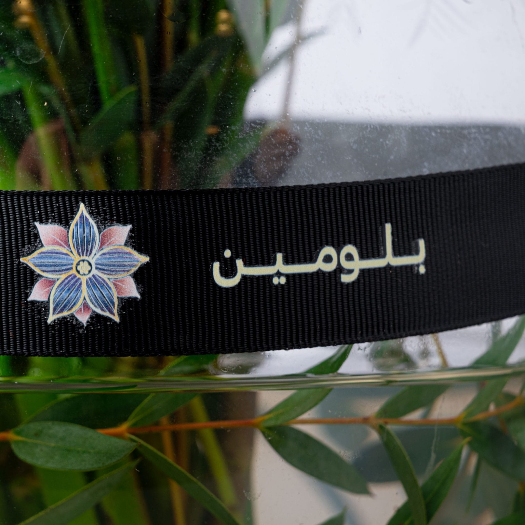 سيريندي ان كولر - الصورة 6