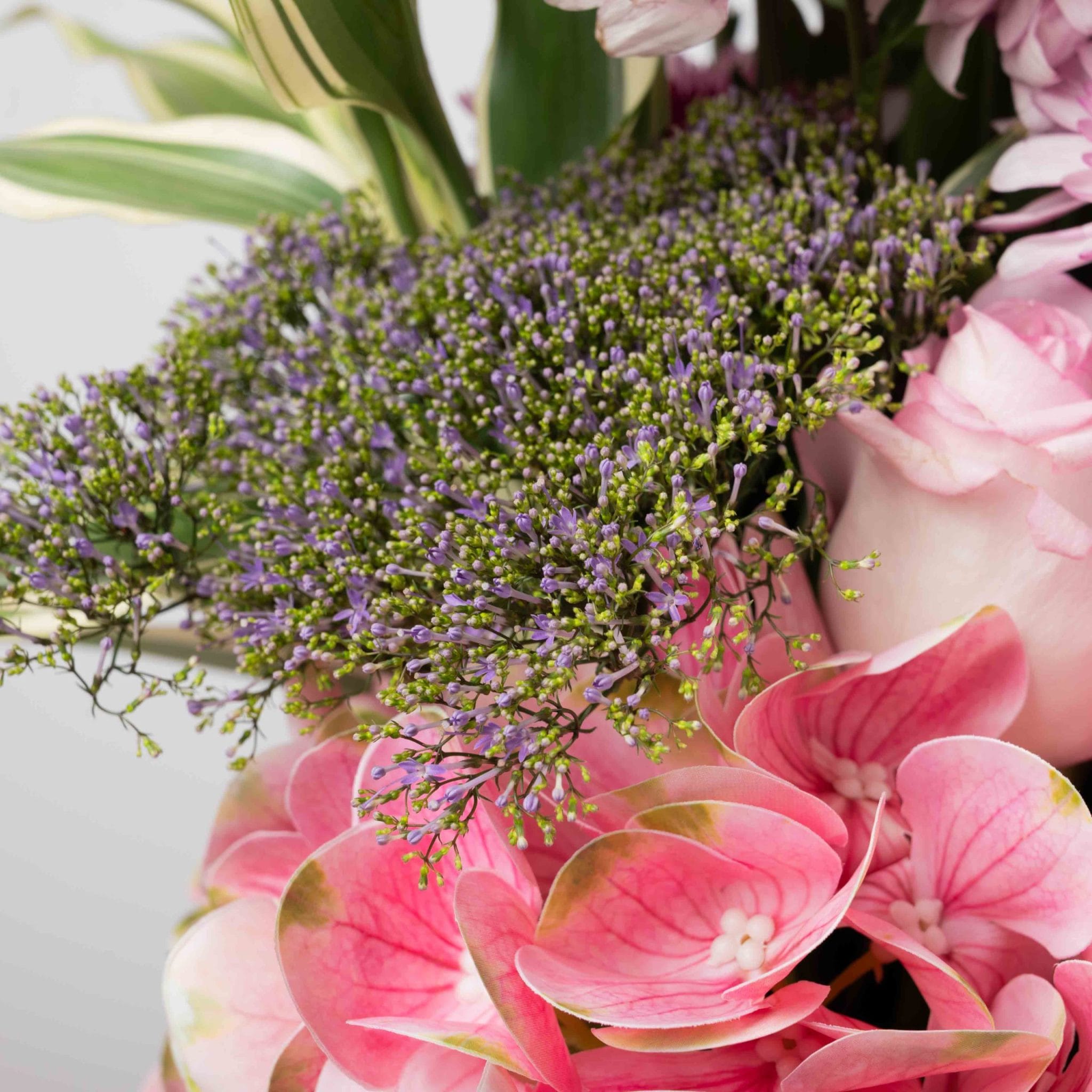 The Blush Garden - Image 3