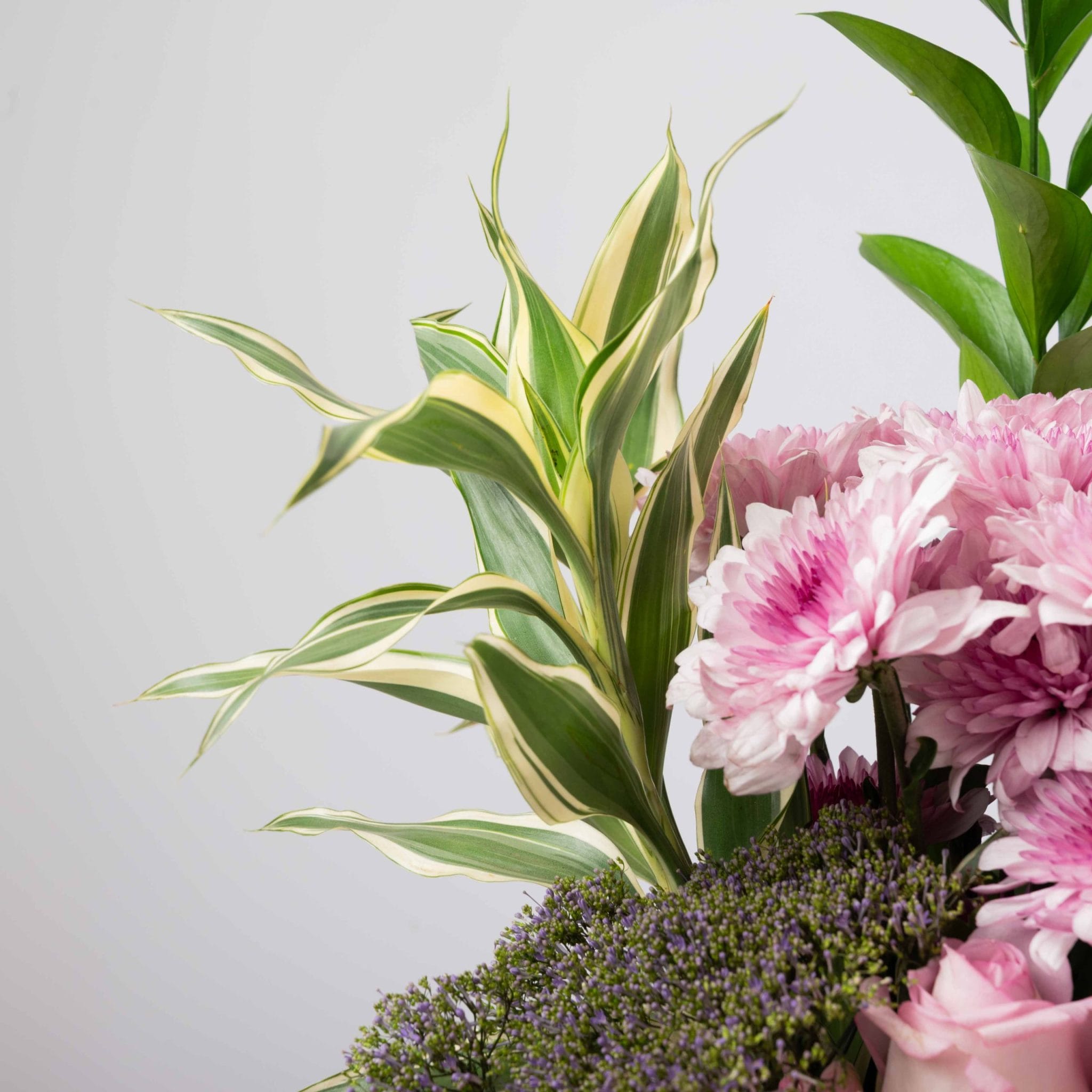 The Blush Garden - Image 5