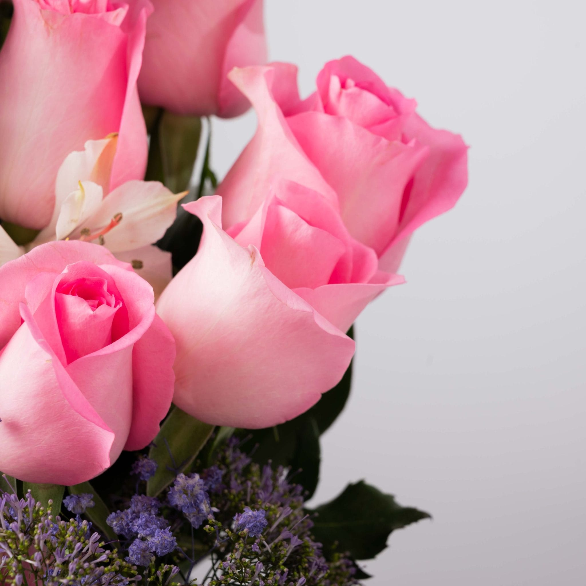 The Whisper Pink - Image 4
