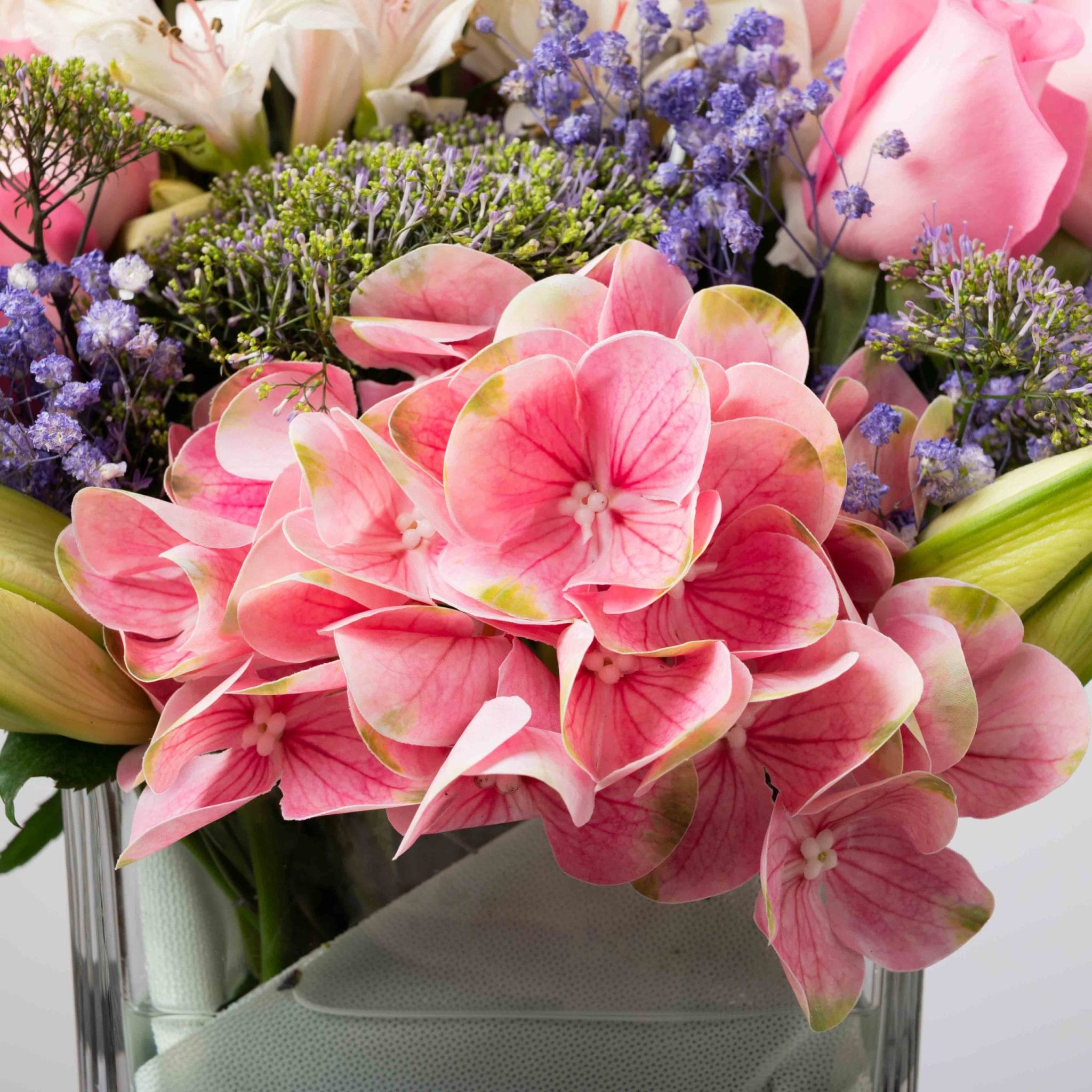 The Whisper Pink - Image 6