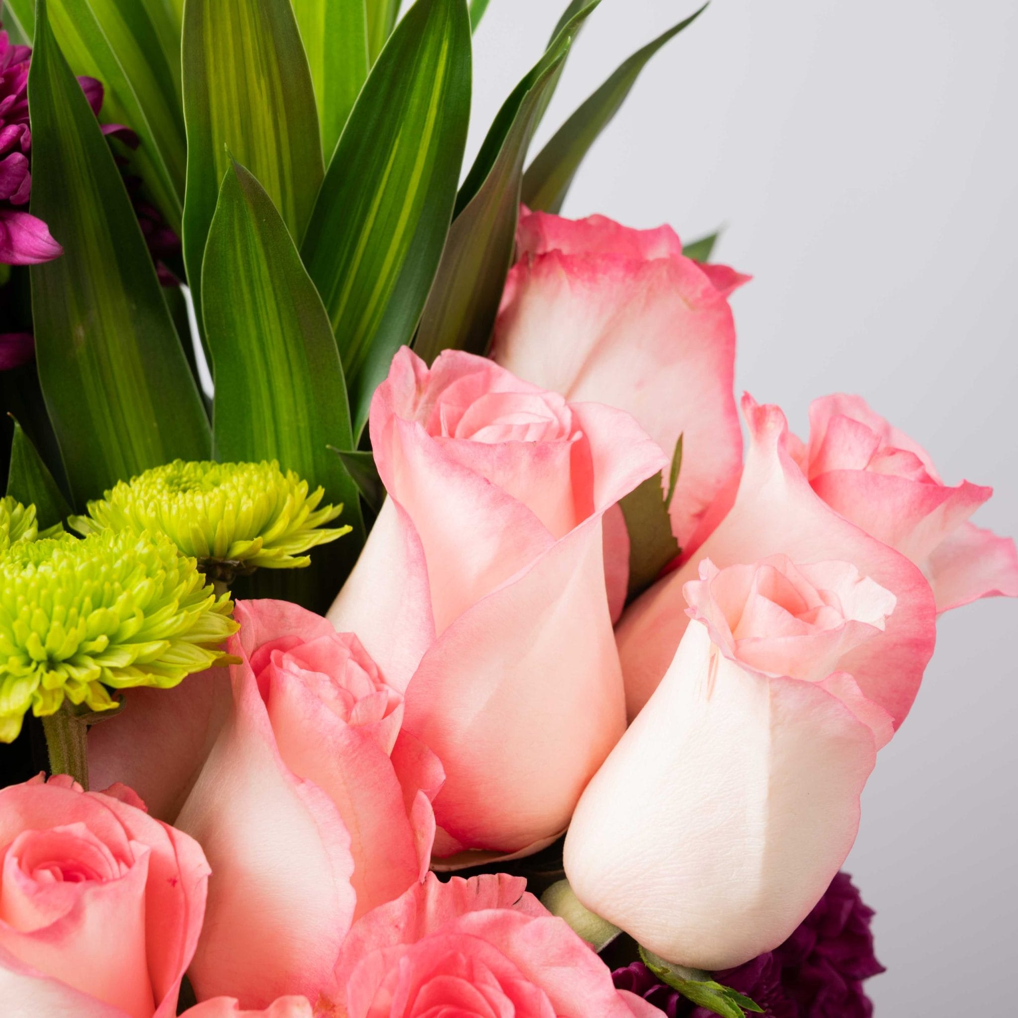 The Rosy Charm - Image 4