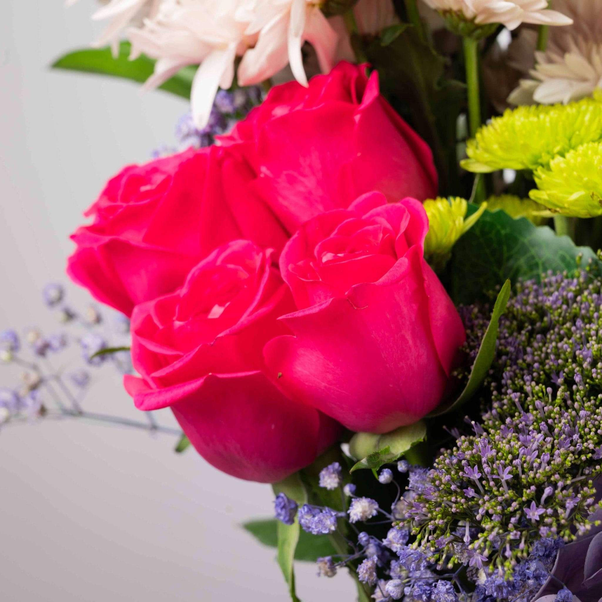 The Vivid Grace - Image 5