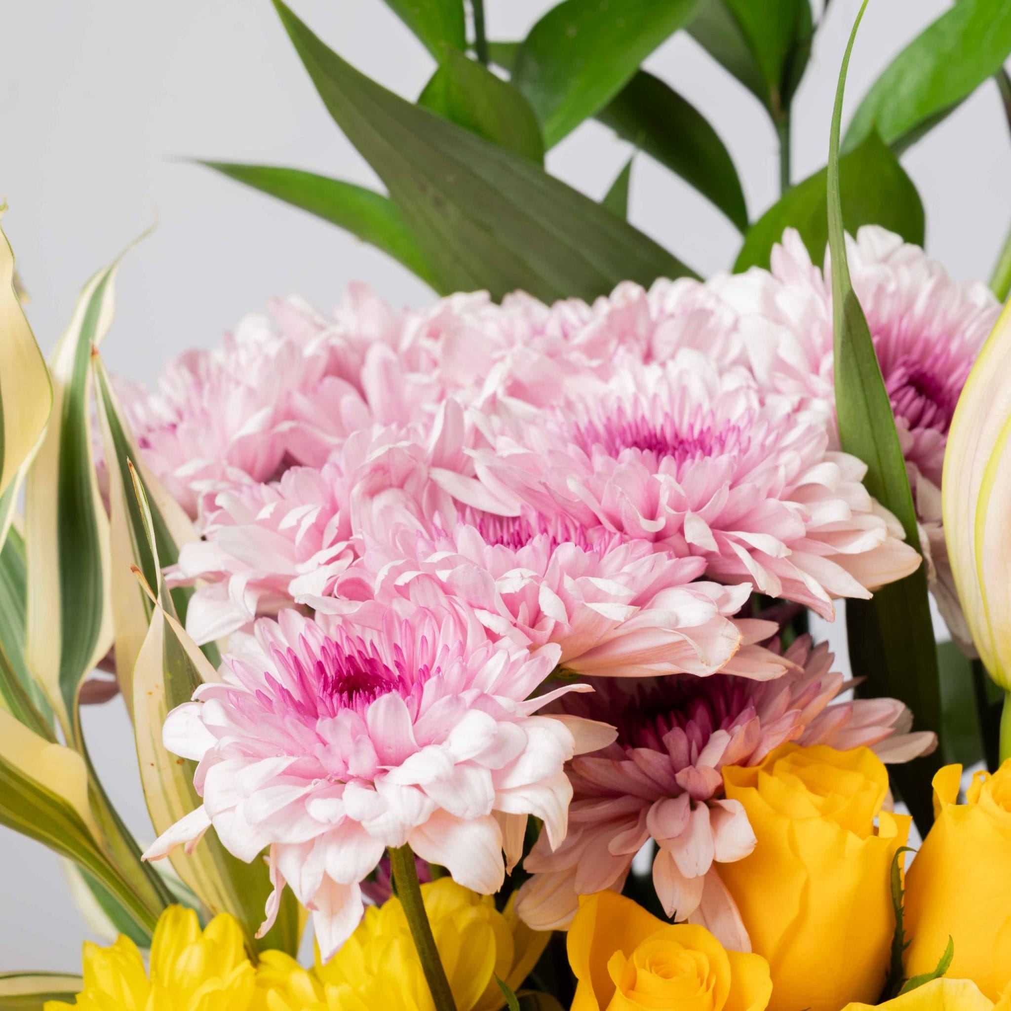 The Golden Bloom - Image 4