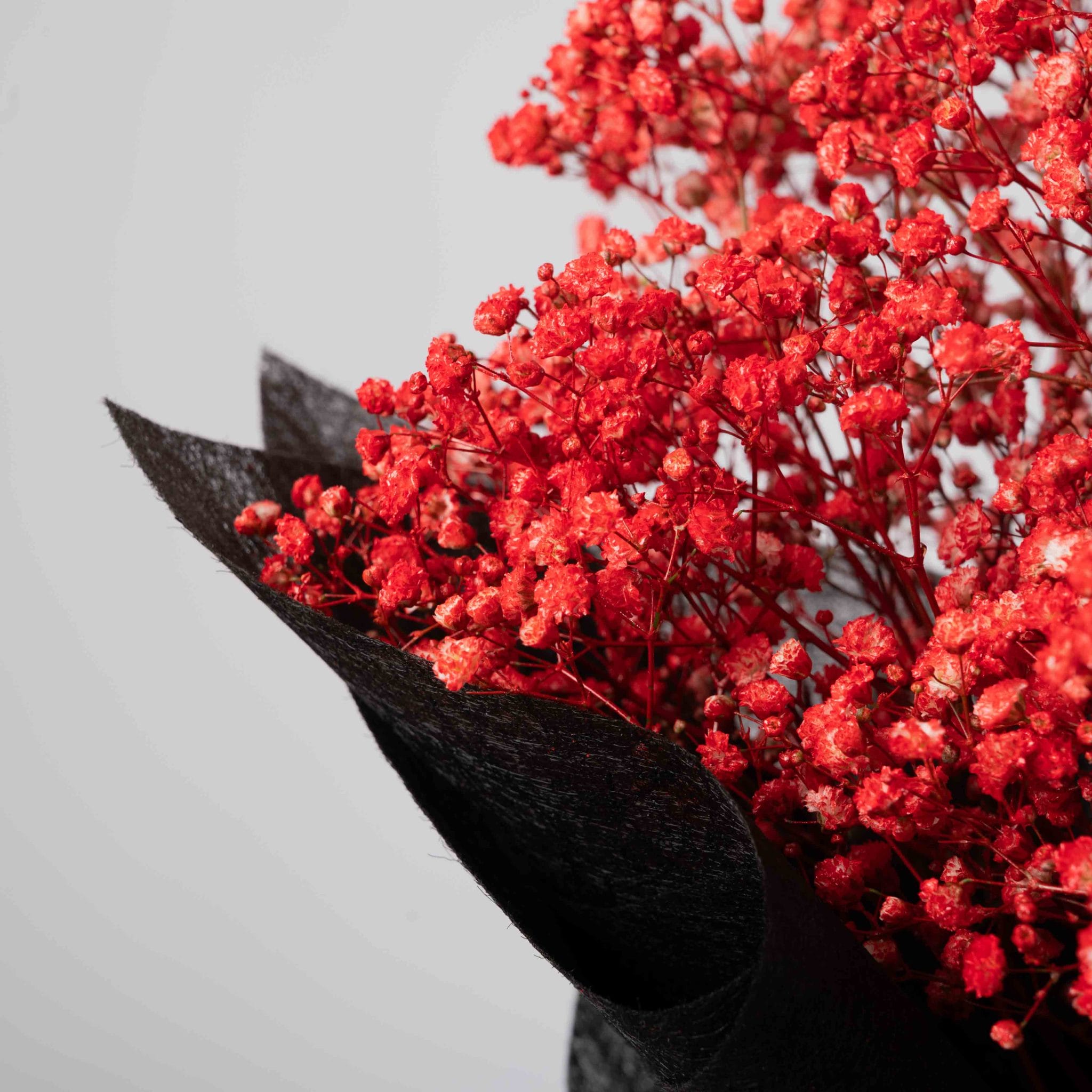 The Crimson Blooms - Image 3