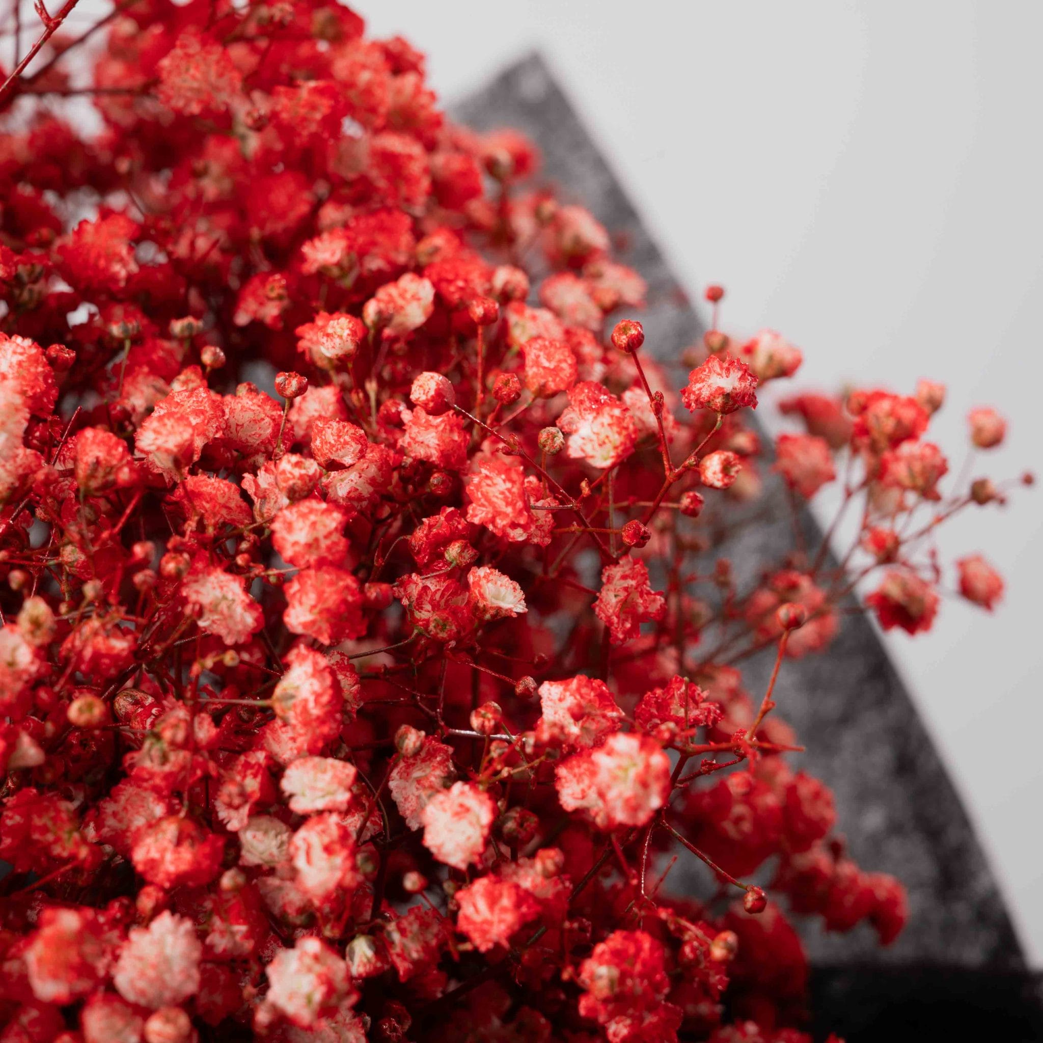 The Crimson Blooms - Image 4