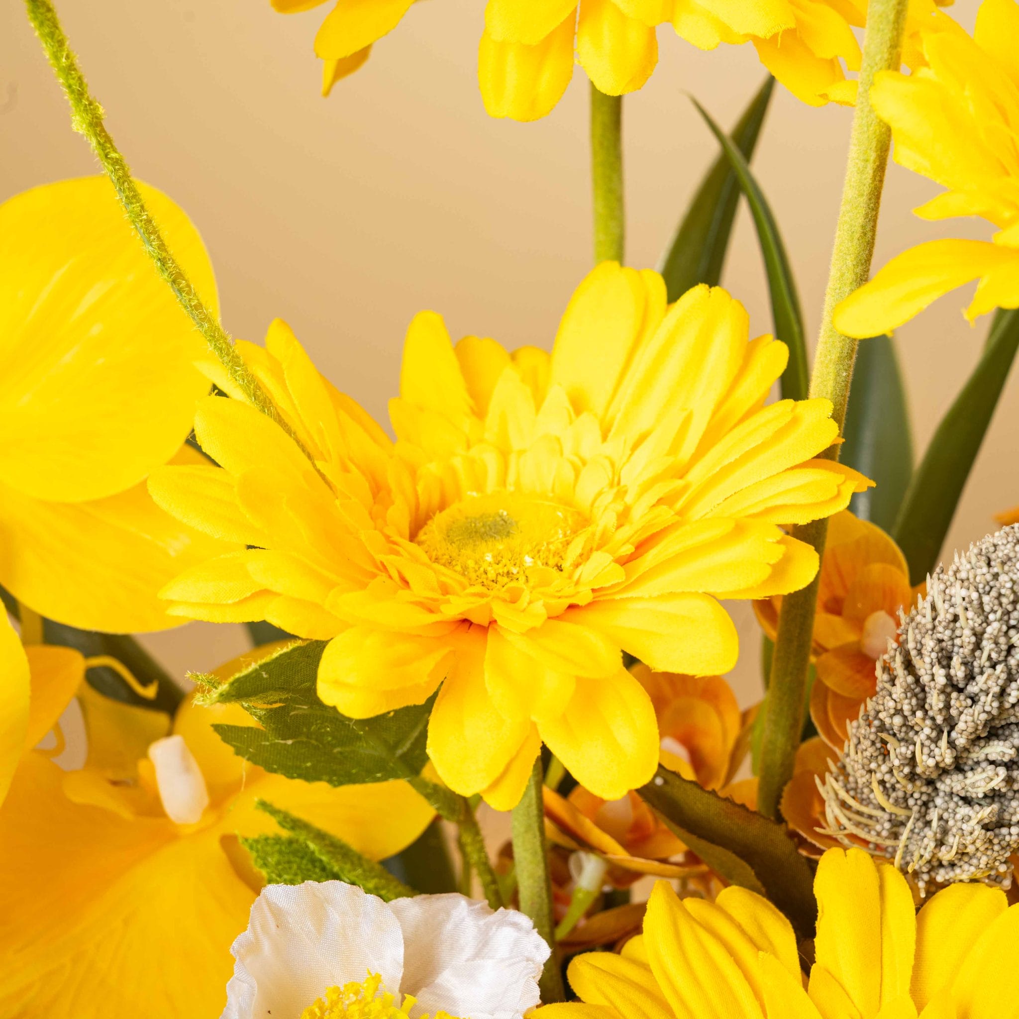 The Butter Bloom - Image 5
