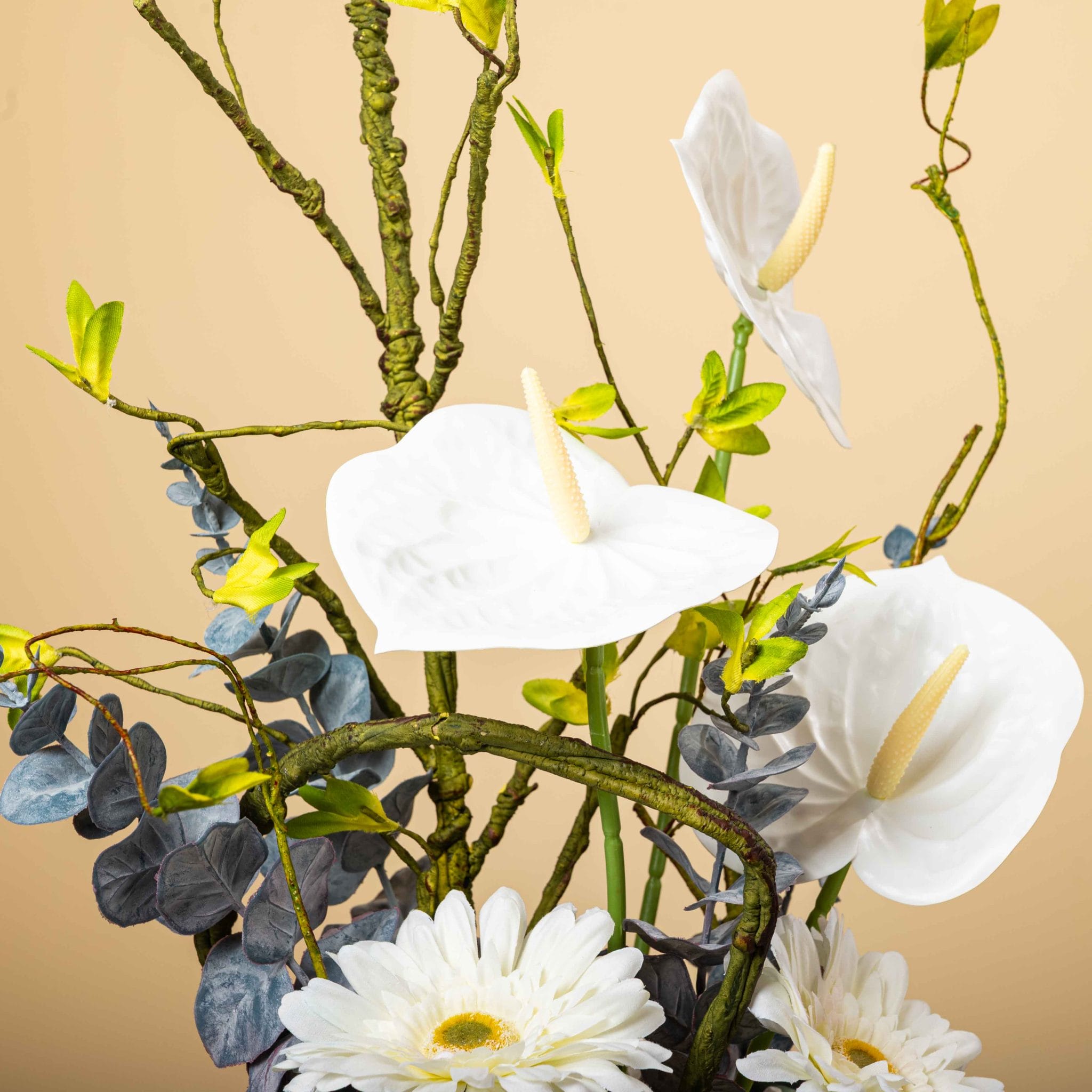 The Ivory Haven - Image 3