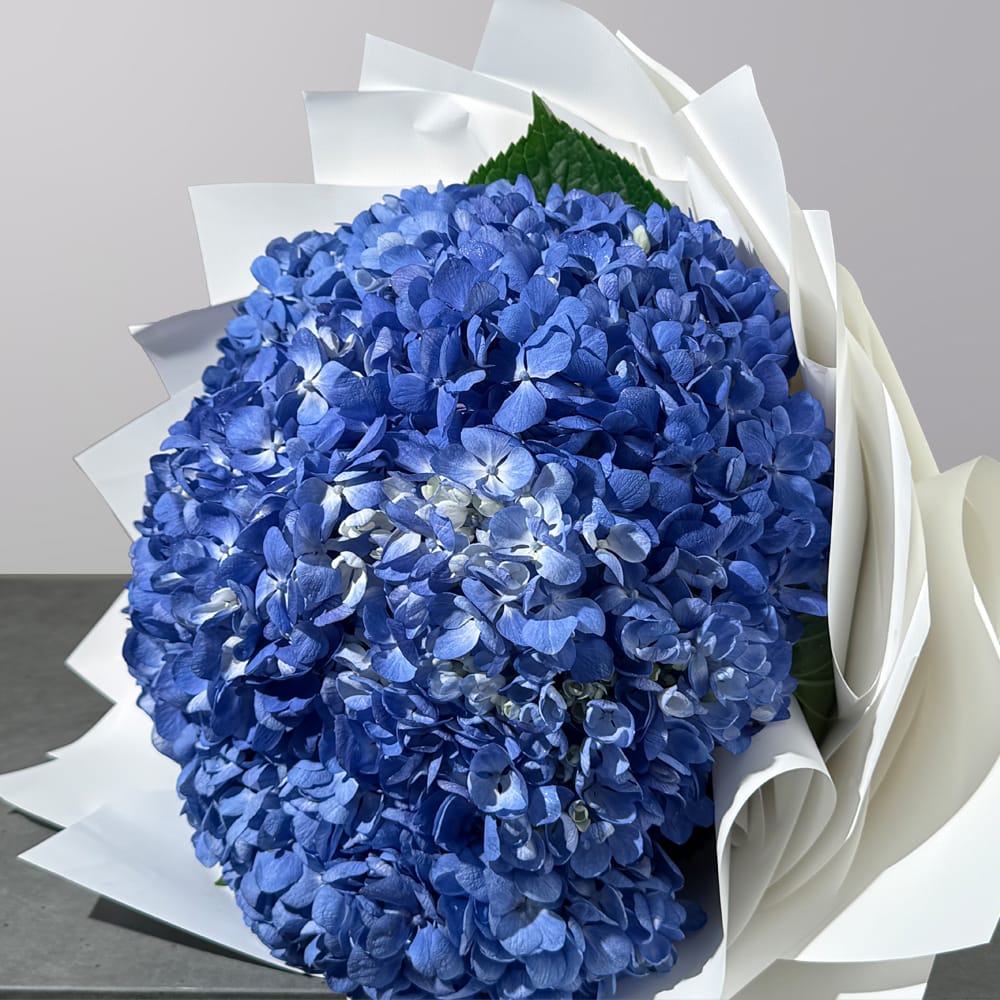 The Sapphire Cloud - Image 2
